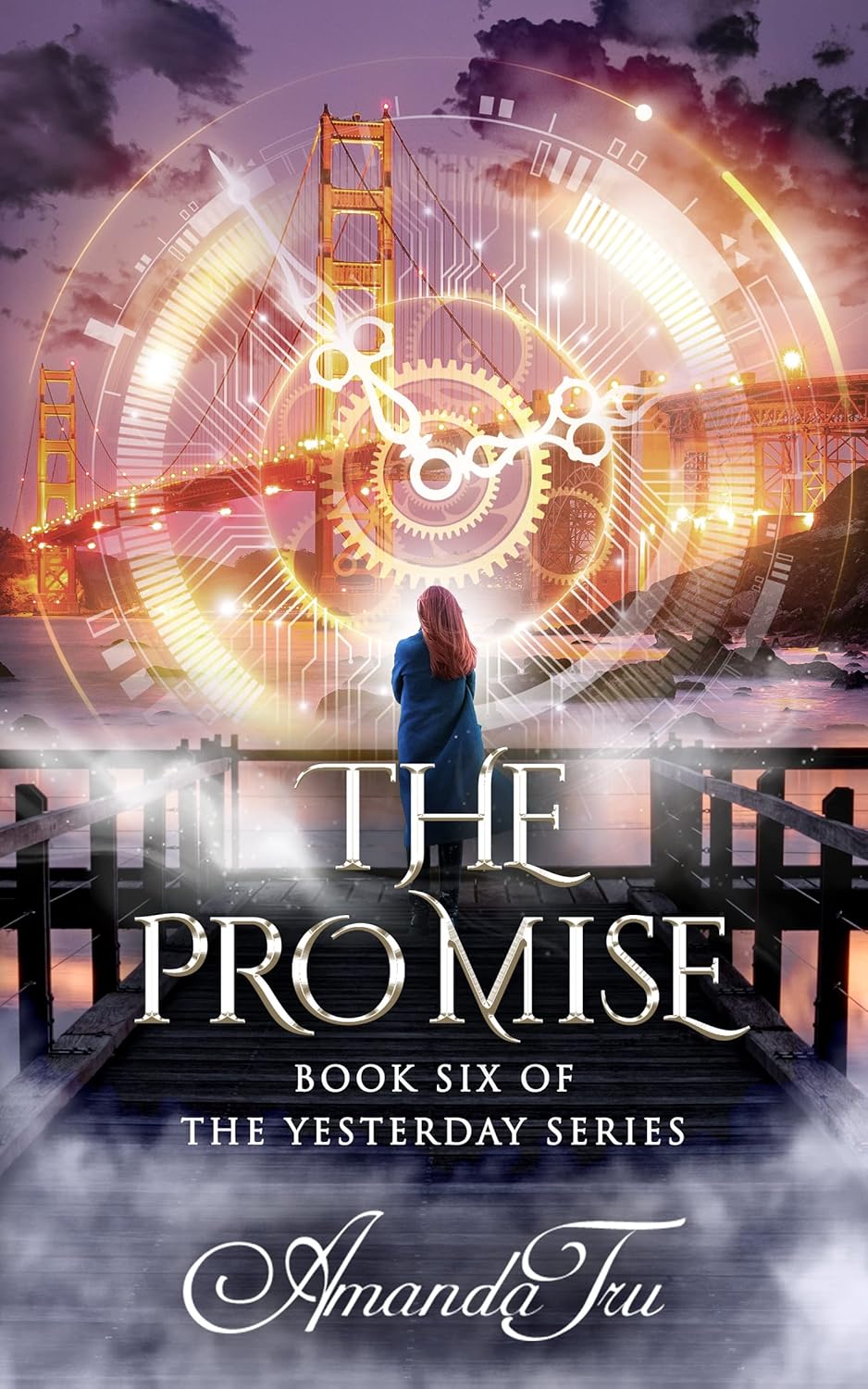 The Promise book cover