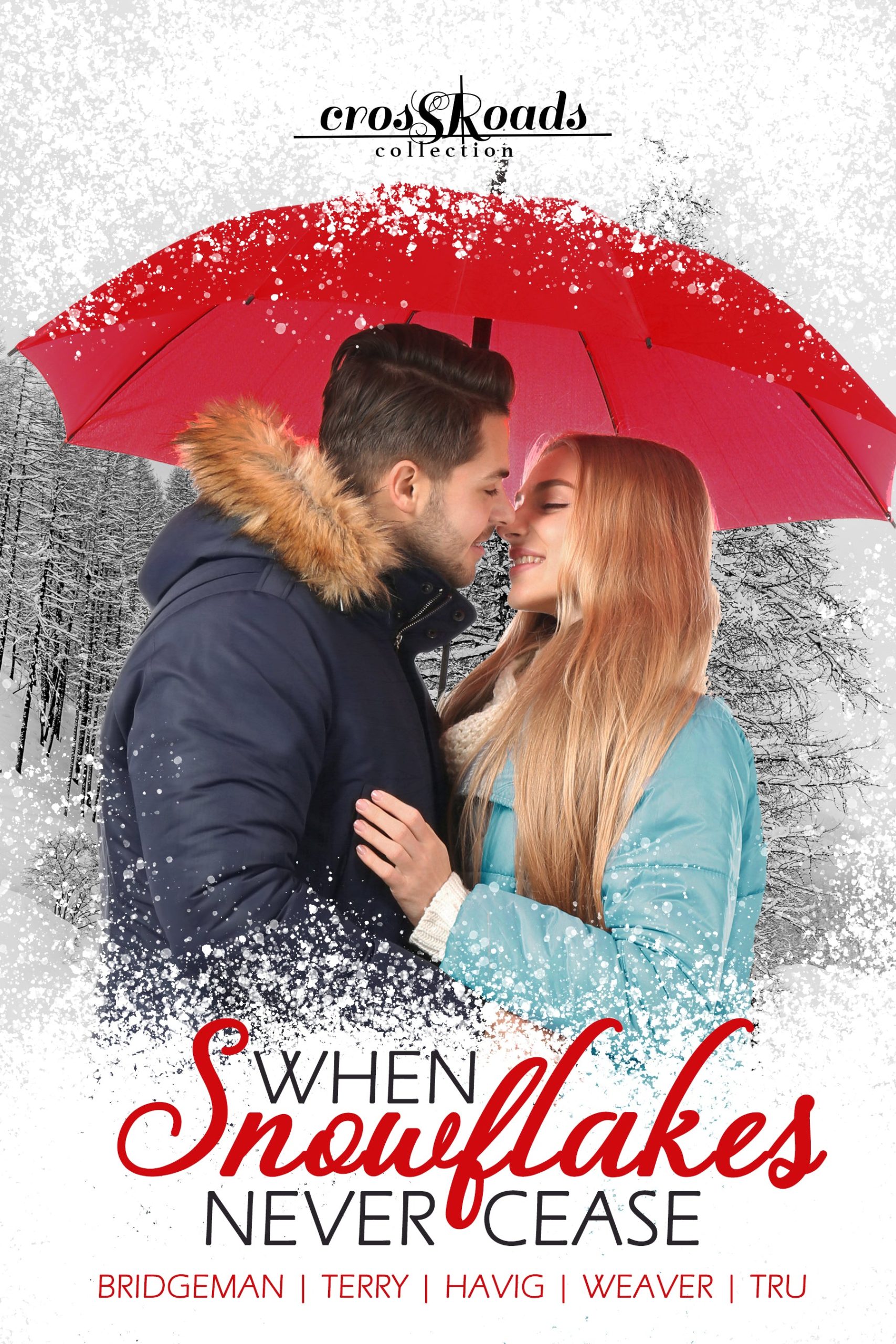 When Snowflakes Never Cease book cover